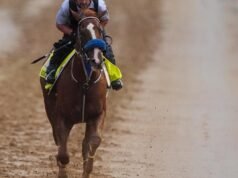 Right to Party será o terceiro arranhão do Kentucky Derby, acrescentou Robusta