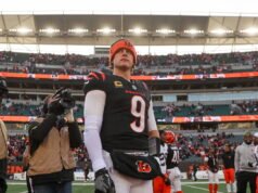 Bengals é favorito em 15 dos 17 jogos da temporada regular